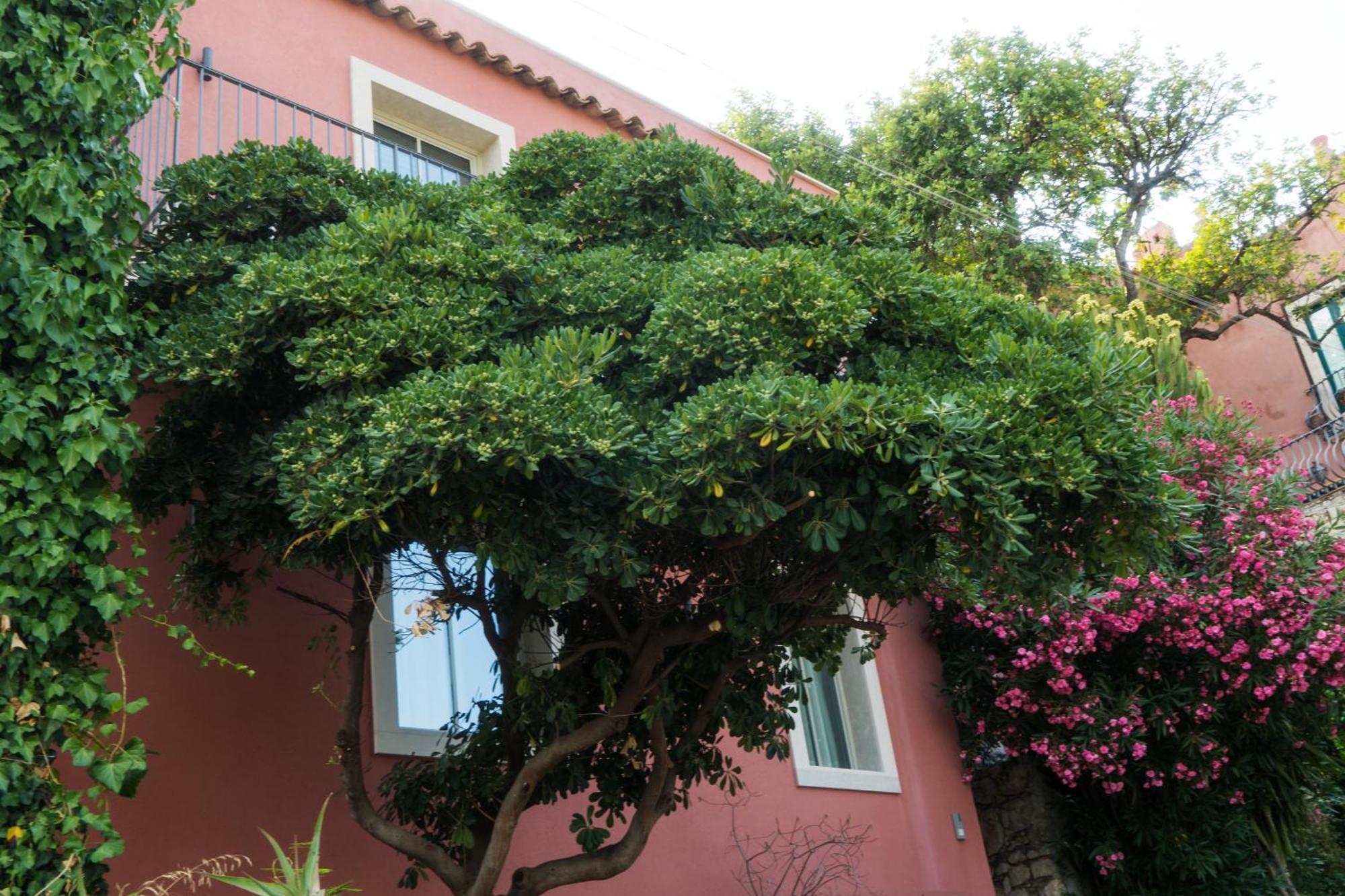 The Charming House Lejlighed Taormina Eksteriør billede